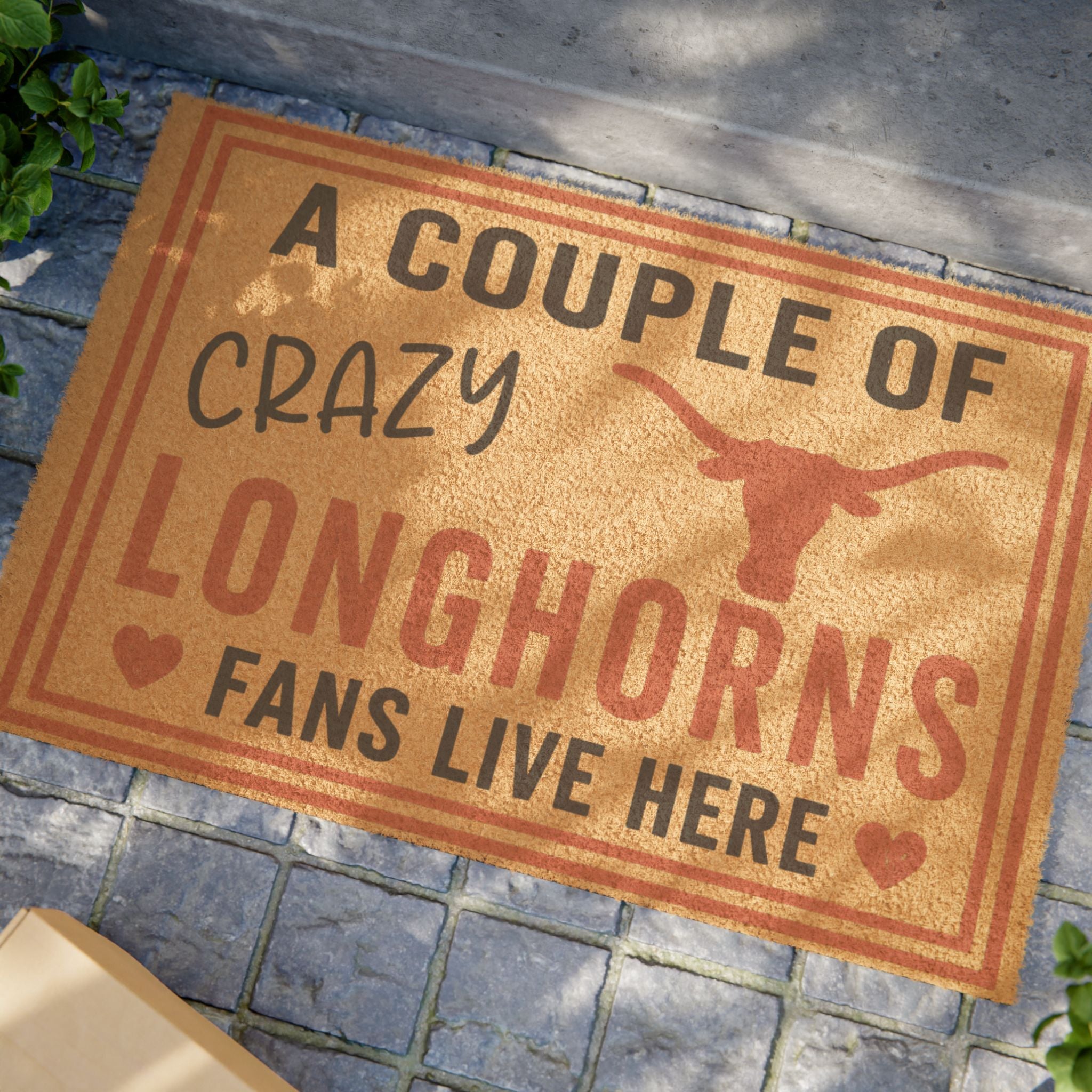 Crazy COUPLE of longhorns - Team Welcome Mat