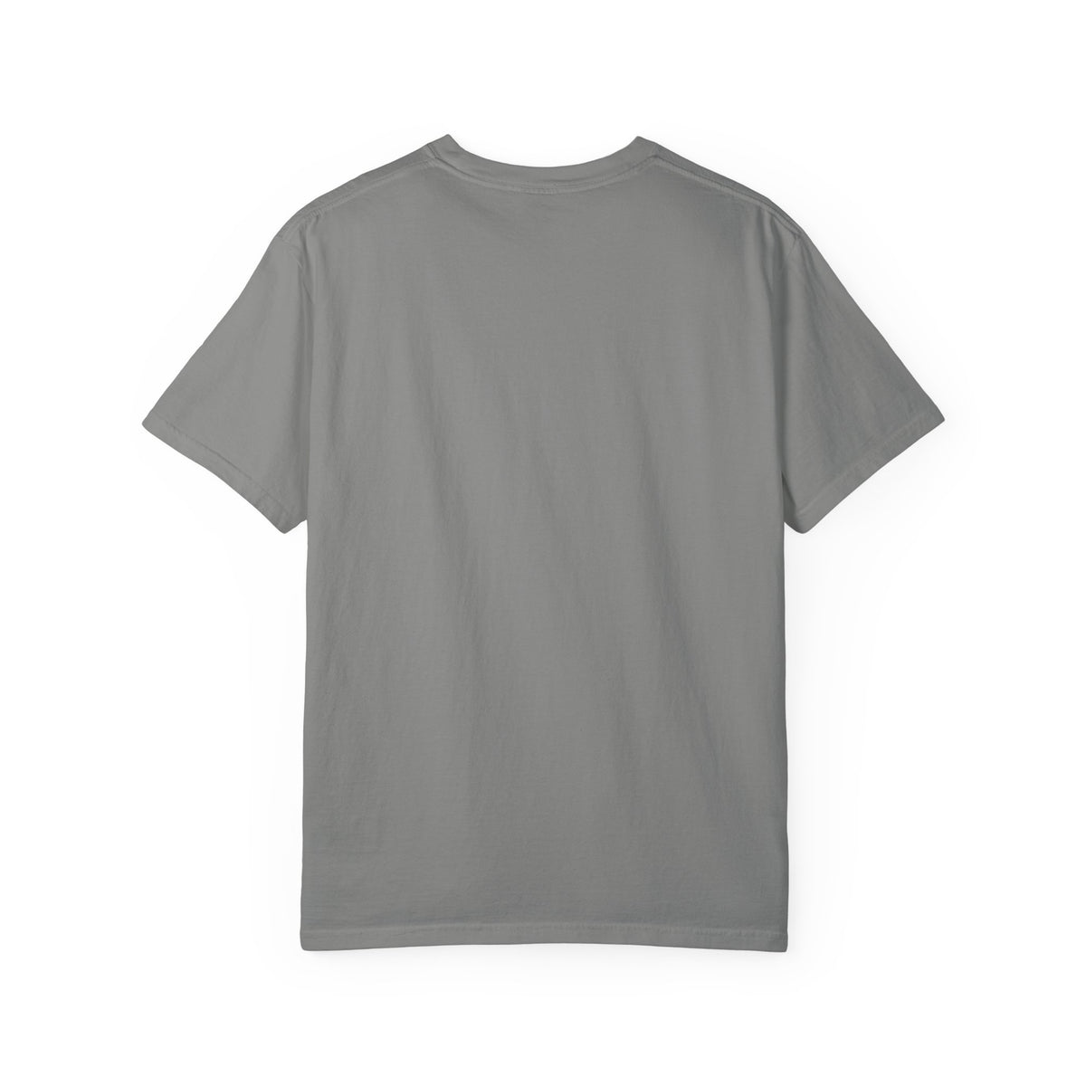 Chris Brown & Usher Concert Tee — Retro R&B Graphic T-Shirt