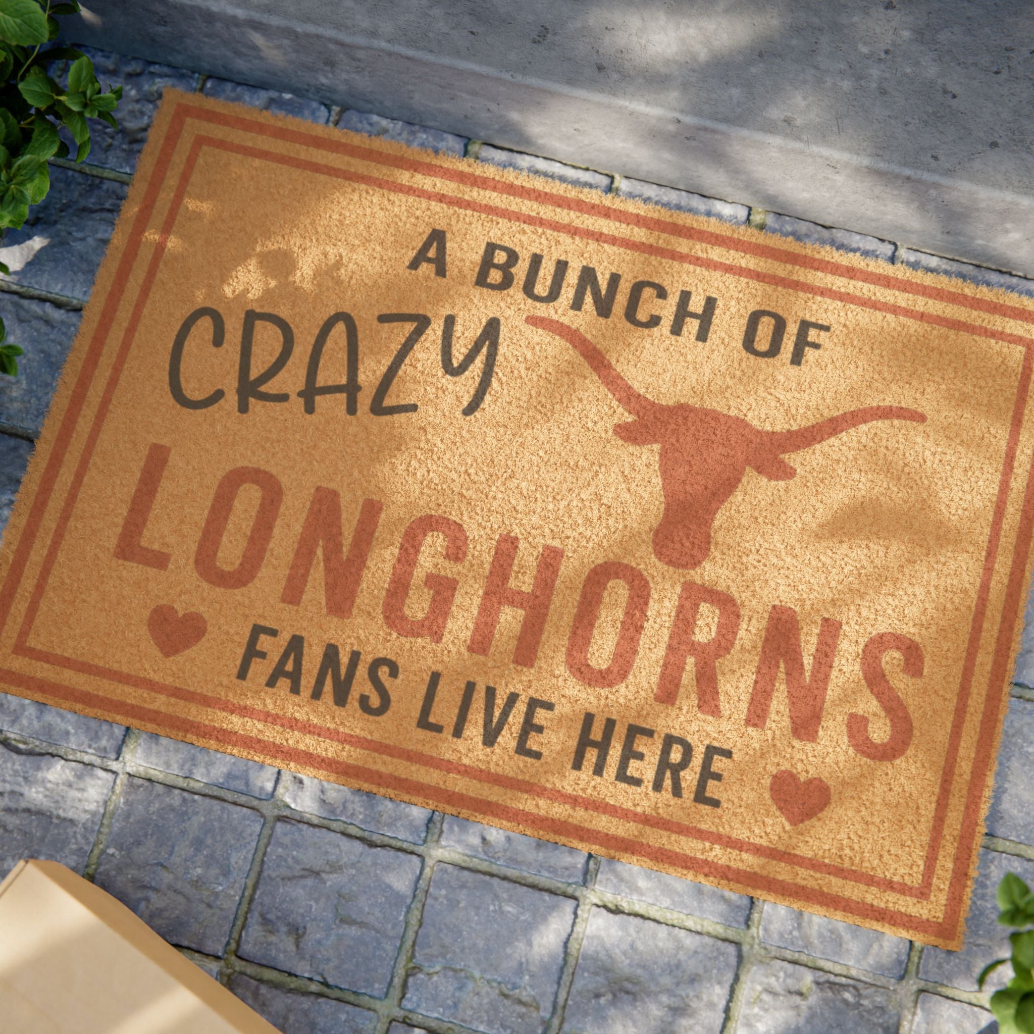 Crazy Bunch of Longhorns - Team Welcome Mat