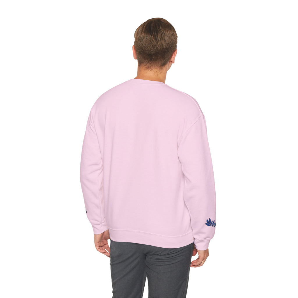 MAMA Crewneck Sweatshirt (personalized) Boy DINO HH